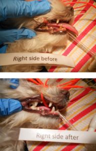 dental-before-after2